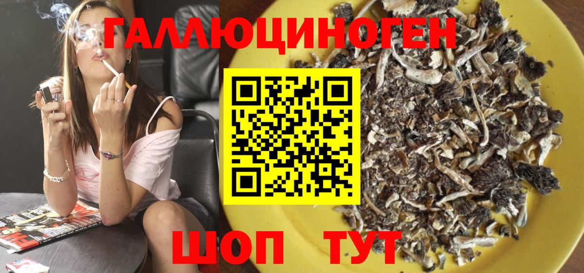 Псилоцибиновые грибы мицелий Саратов
