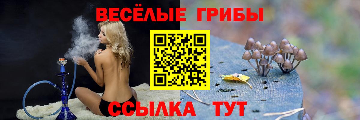 Галлюциногенные грибы GOLDEN TEACHER  Вход с VPN  Саратов 